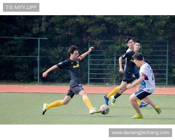 彩虹足球明星的魅力与成就探秘，谁是球场上的闪耀之星