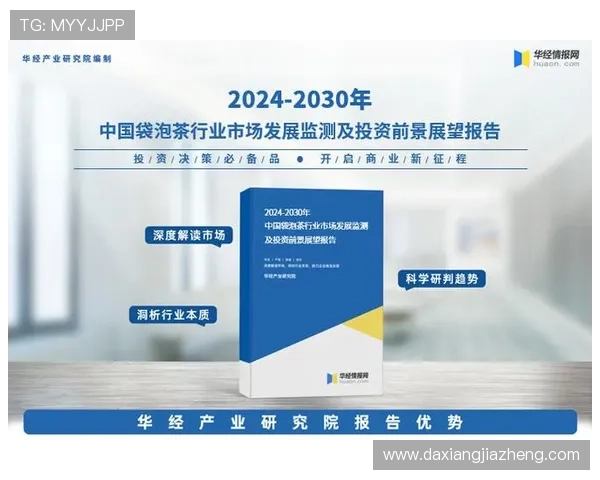 杭州排球队个人能力分析与表现评估研究报告